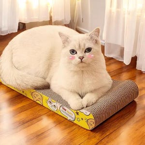 Placa de arranhar para gatos de dois lados | Sofá-cama largo de papelão com catnip | Arranhador para gatos moderno