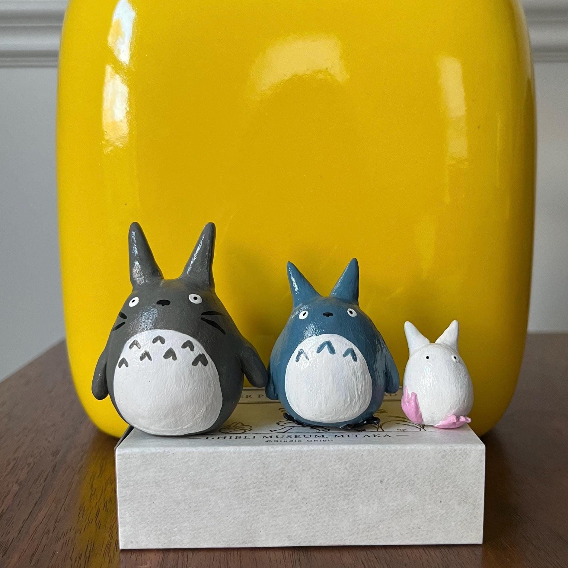 『SALE』Yellow moon dwarf Totoro spore17-5 yellow moon dwarf 'totoro' sporeling 10 P.Willinckii Yellow