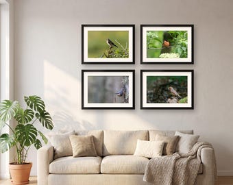 Woodland Bird Wall Art Set of 4 Prints | Gallery Wall Set | Goldfinch, Bullfinch, Nuthatch, Robin, Bird Lover Gift
