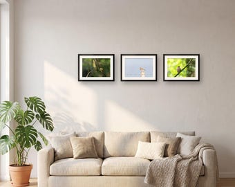 Bird Wall Art Set of 3 Prints | Gallery Wall Set for Living Room | Wren, Skylark, Chaffinch, Bird Lover Gift