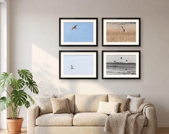 Birds in Flight Wall Art | Set of 4 Prints, Gallery Wall Set | Red Kite, Harrier, Tern, Lapwing, Bird Lover Gift
