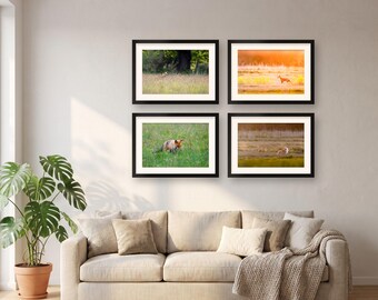 Fox Wall Art Set of 4 Prints | Gallery Wall Set, Woodland Decor | Golden Hour Red Fox Photography, Housewarming Gift