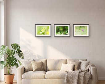 Botanical Wall Art Set of 3 Prints | Gallery Wall Set, Cottagecore Decor | Butterfly, Dragonfly, Orchid Macro Prints