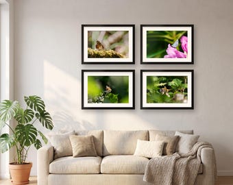 Butterfly Wall Art Set of 4 Prints | Botanical Gallery Wall Set | Cottagecore Decor, Macro Nature, Housewarming Gift