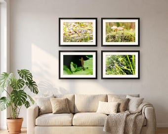 Dragonfly Wall Art Set of 4 Prints | Botanical Gallery Wall Set | Macro Damselfly Nature Decor, Housewarming Gift