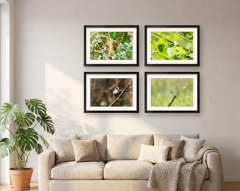 Garden Bird Wall Art Set of 4 Prints | Gallery Wall Set | Great, Coal, Long-tailed & Marsh Tit, Bird Lover Gift