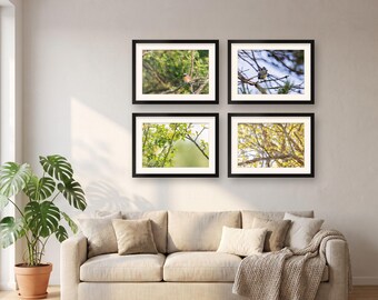 Bird Wall Art Set of 4 Prints | Spring Gallery Wall Set, Fresh Green Decor | Redstart, Blue Tit, Whitethroat, Chiffchaff