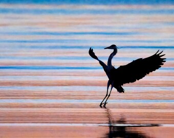 Heron Wall Art Print, Sunset Silhouette | Moody Coastal Lake House Decor | Large Framed Heron Art, Housewarming Gift