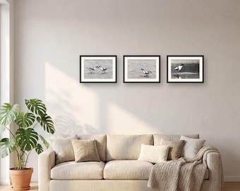 Coastal Bird Wall Art Set of 3 Prints | Monochrome Gallery Wall Set | Black & White Avocet Prints, Bird Lover Gift