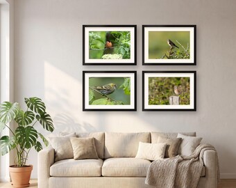 Bird Wall Art Set of 4 Prints | Gallery Wall Set for Living Room | Goldfinch, Bullfinch, Siskin, Linnet, Bird Lover Gift