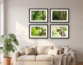Woodpecker Wall Art Set of 4 Prints | Woodland Gallery Wall Set | Bird Nest Nature Decor, Bird Lover Gift