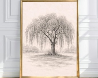 May include: A framed pencil drawing of a weeping willow tree. The artwork is in a gold frame and depicts the tree in a field with other trees in the background. The drawing is in shades of gray and white.