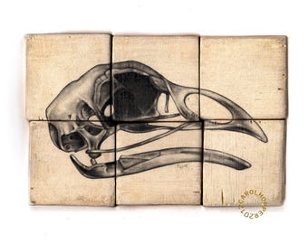 Ornithology - Pencil on Wood - Rough Hewn Series