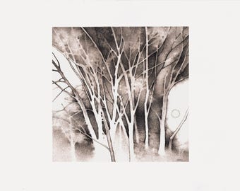 Cottonwoods - Original Pencil Drawing