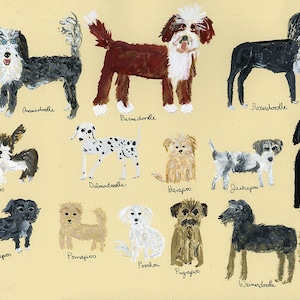 Può includere: Un'illustrazione colorata di 14 razze di cani diverse, ognuna con un nome unico. I cani sono dipinti in uno stile fantasioso con colori vivaci e linee semplici. I nomi delle razze sono scritti sotto ogni cane.