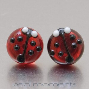 Può includere: Un paio di orecchini a bottone a coccinella rossi. Ogni orecchino presenta una perla rotonda rossa trasparente con pois neri e un design della testa in bianco e nero. Un accessorio giocoso.