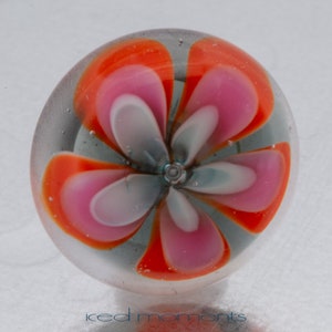 Könnte beinhalten: Ein Glas-Briefbeschwerer mit einem farbenfrohen Blumendesign. Die Blume hat rosa, orange und weiße Blütenblätter mit einer grauen Mitte.