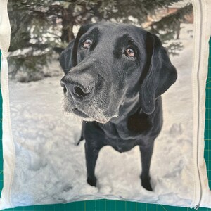 Pet dog cat photo pillow image 2