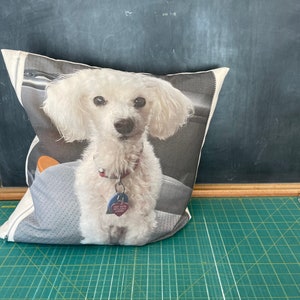 Pet dog cat photo pillow image 3