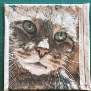 Pet dog cat photo pillow image 10