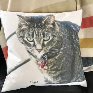 Pet dog cat photo pillow image 4