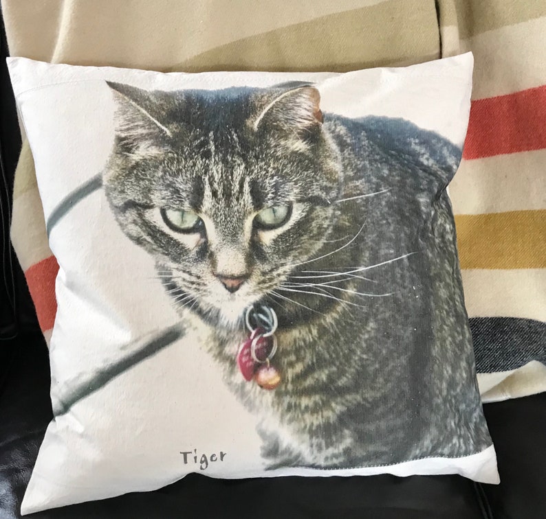 Pet dog cat photo pillow image 4