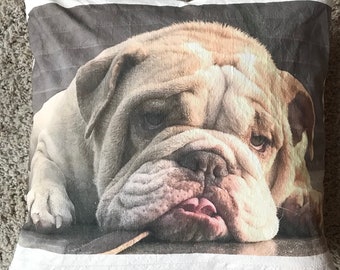 custom pet portrait pillow