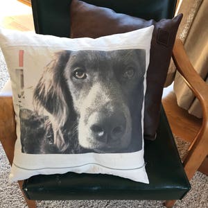 Pet dog cat photo pillow image 7