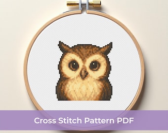 Cute Owl Cross Stitch Pattern, Baby Owl Embroidery Design, Woodland Animal Cross Stitch, Beginner-Friendly Owl DMC Pattern