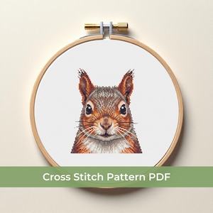 May include: A cross-stitch pattern of a squirrel's face, framed in a wooden embroidery hoop. The squirrel has brown and orange fur, with black eyes and whiskers. The text "Cross Stitch Pattern PDF" is displayed below the hoop.