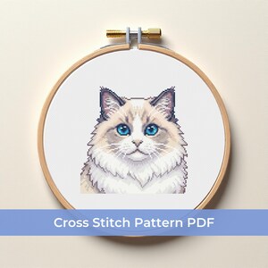 Puede incluir: Un patrón de punto de cruz de un gato Ragdoll con ojos azules, enmarcado en un bastidor de bordado de madera. El gato tiene un pelaje blanco y beige esponjoso. El texto "Cross Stitch Pattern PDF" se muestra en una pancarta azul.