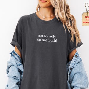 Comfort Colors® Not Friendly Do Not Touch Shirt, Sarcastic Shirt, Funny Humor Shirt, Adult Humor Shirt, Sarcasm Shirt, Funny Trendy Shirt