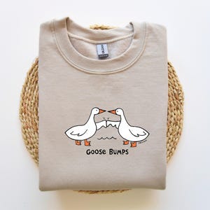 May include: A beige sweatshirt with a graphic of two geese bumping into each other. The text "Goose Bumps" is printed below the geese.
