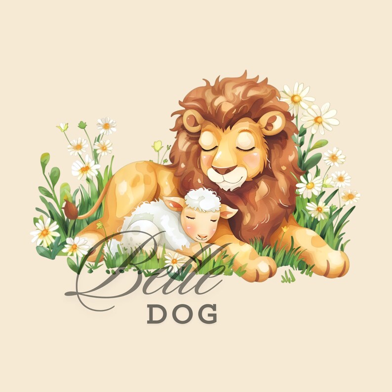 Lion and Lamb Clipart, 6 PNG Images With Transparent Backgrounds, Digital Download, Printable ...