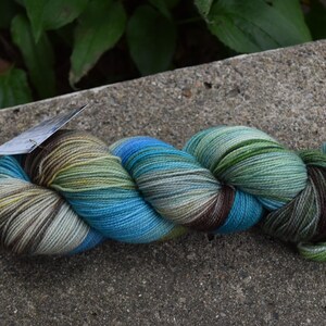 May include: A skein of variegated yarn in shades of blue, green, brown, and cream rests on a concrete surface. The yarn is tightly wound, displaying a blend of colors. A small tag is attached to the yarn. The background features green foliage.