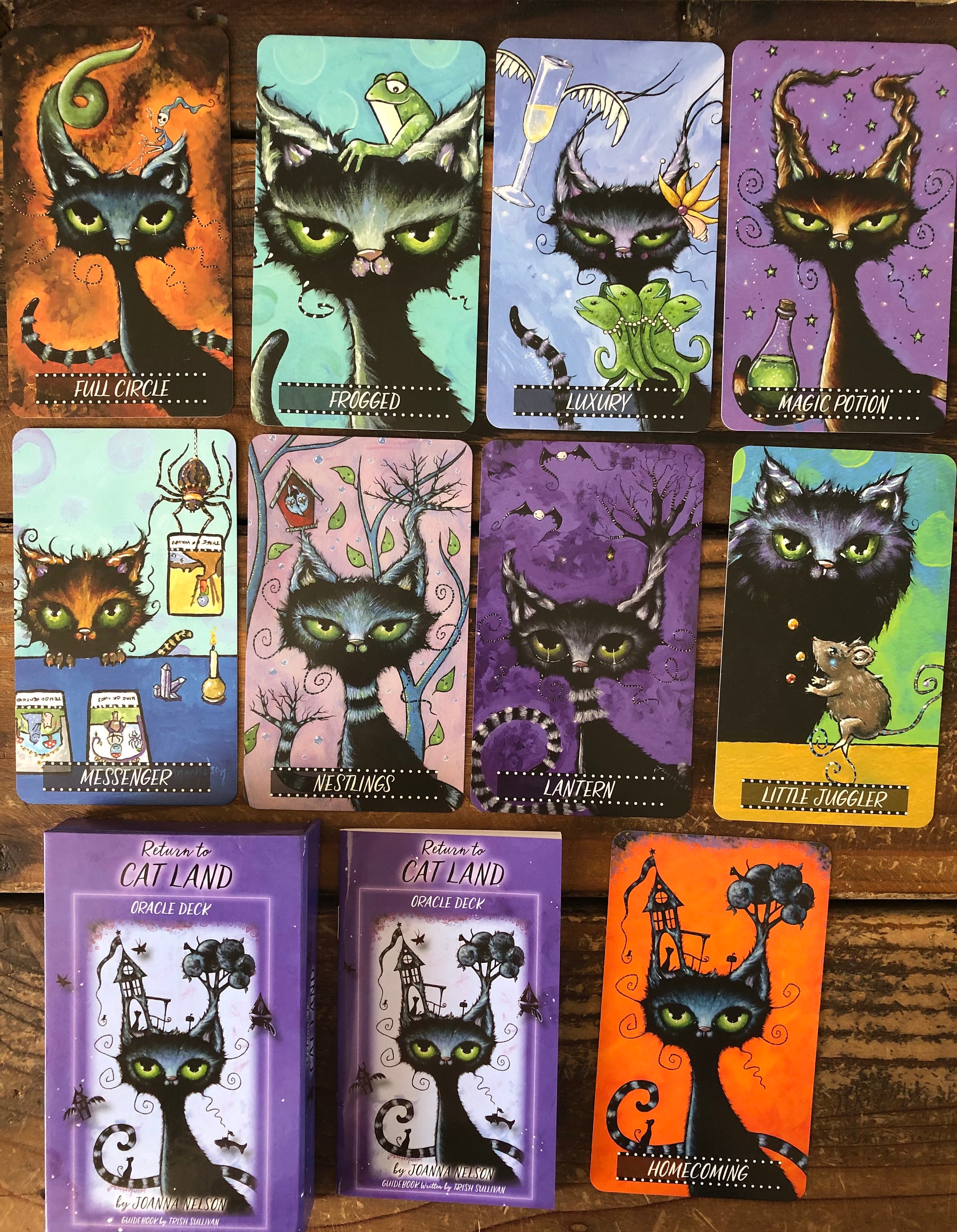 Cat Land Oracle Deck キャットランドオラクルカード Cat Land Oracle Deck by Joanna Nelson Studio - Etsy