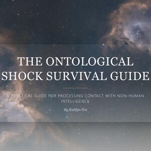 Può includere: Copertina di un libro con sfondo celeste. Il titolo è "THE ONTOLOGICAL SHOCK SURVIVAL GUIDE" in bianco. Il sottotitolo recita "A PRACTICAL GUIDE FOR PROCESSING CONTACT WITH NON-HUMAN INTELLIGENCE" di Kaitlyn Fox.