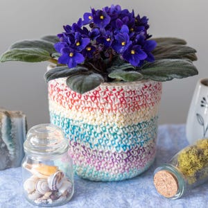 Peut inclure: Une plante de violette africaine violette dans un pot crocheté à rayures arc-en-ciel. Le pot est posé sur une surface à motifs bleus et blancs avec un bocal en verre transparent rempli de coquillages et un petit bocal en verre rempli de mousse.