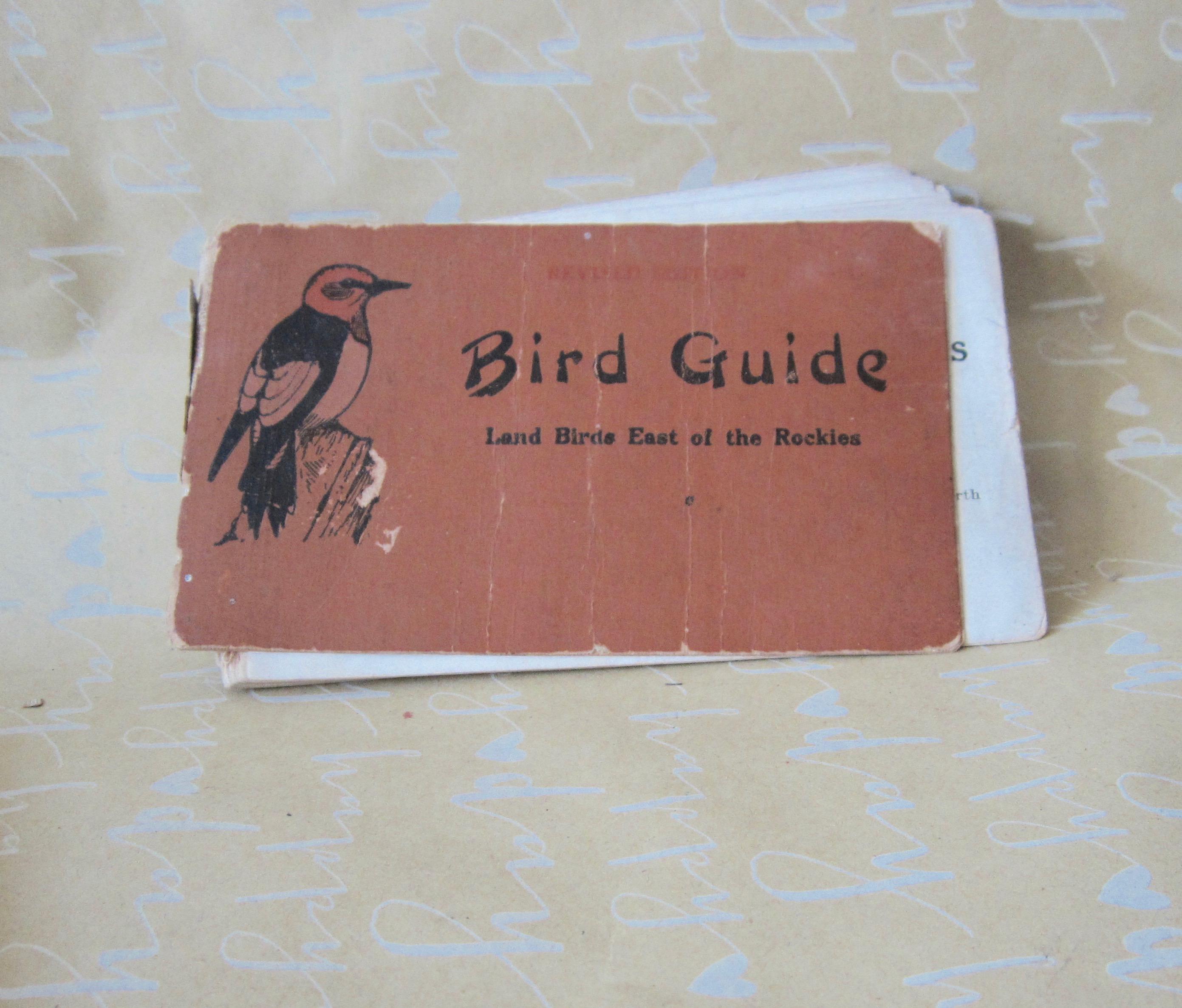 Vintage Bird Guide - Etsy