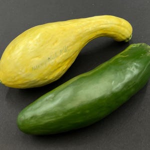 May include: A yellow squash and a green cucumber rest on a dark surface. The squash is curved and has a slightly rough texture. The cucumber is long and smooth, with a vibrant green color. The squash has handwritten text on it.