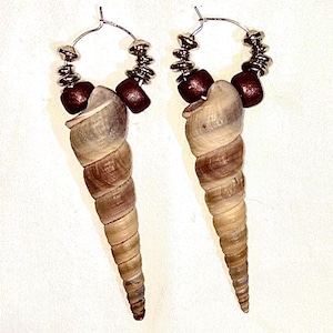 Handmade Spiral Sea Shell Earrings – Cape Cod Beach Jewelry