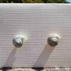 May include: A pair of stud earrings featuring small, spiral-shaped sea shells with a mottled grey and white texture. The earrings are mounted on a square, white, textured display card that casts a distinct shadow on the surface below.