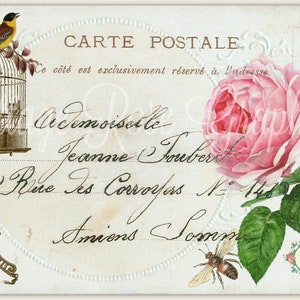 Vintage Bird Postcard digital download Pink rose Carte Postale collage French Script BUY 3 get one FREE single image