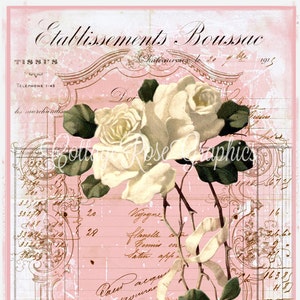 Imagen efímera francesa de rosas blancas: escritura rosa (descarga digital)