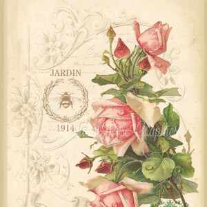 Rosas rosadas efímera francesa: Imagen de jardín vintage (descarga digital)