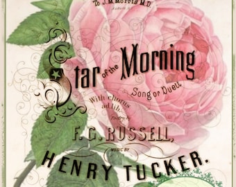 Pink Rose digital download Star of the Morning vintage Music Cover single image ECS buy 3 get one free