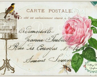 Vintage Vogel Postkarte mit Rose (Digitaler Download)