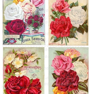 Vintage Advertising Pink & red roses Large digital download collage ECS buy 3 get one free image 1