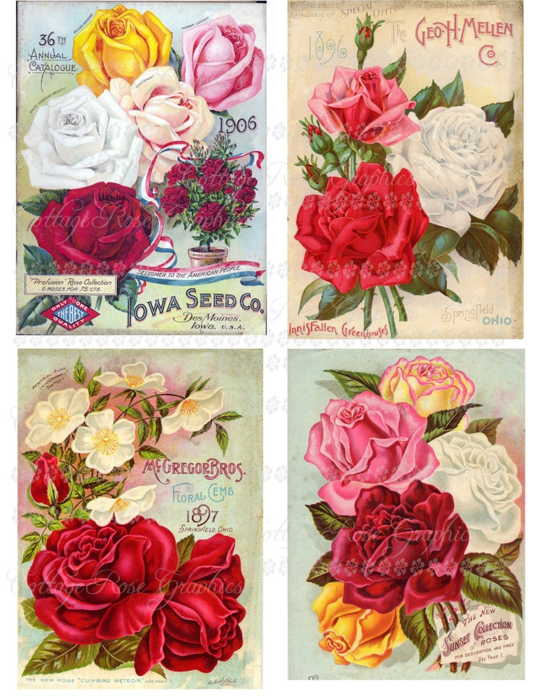 Vintage Advertising Pink & red roses Large digital download collage ECS buy 3 get one free image 1