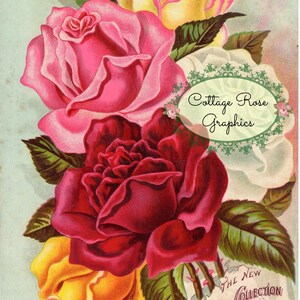 May include: A vintage-style illustration featuring a cluster of roses in shades of deep red, bright pink, yellow, and white with green leaves. An oval label reads Cottage Rose Graphics and a small banner at the bottom says The New Sunset Collection of Roses.